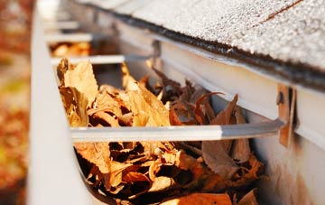 North Darley gutter cleaning companies