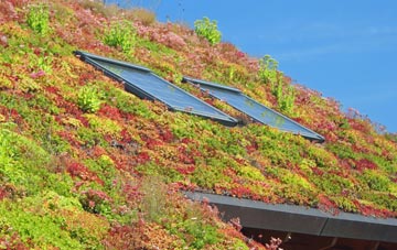 North Darley living roof systems